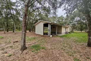 12180 NE 238 Terrace, Salt Springs, FL 32134 - Photo 24