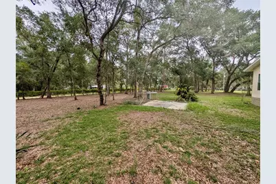 12180 NE 238th Terrace, Salt Springs, FL 32134 - Photo 28
