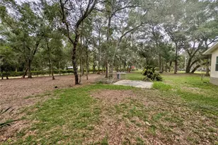 12180 NE 238 Terrace, Salt Springs, FL 32134 - Photo 28