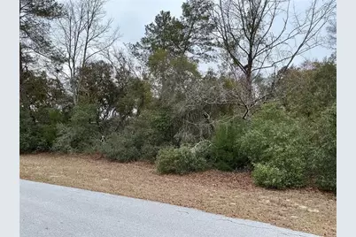 Sw 137th Loop, Ocala, FL 34473 - Photo 1