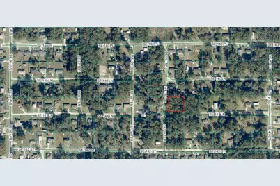 Tbd SE 141st Lane, Summerfield, FL 34491 - Photo 1