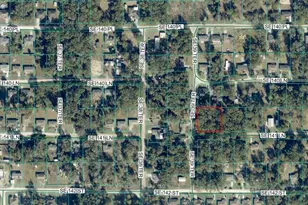 Tbd SE 141st Ln, Summerfield, FL 34491 - Photo 1