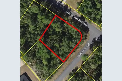Marion Oaks Golf Rd and 166th Place Road, Ocala, FL 34473 - Photo 2