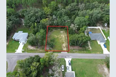 106 Guava Pass, Ocklawaha, FL 32179 - Photo 1