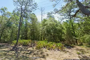 7394 W Dunnellon Rd, Dunnellon, FL 34433 - Photo 1