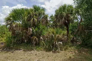 2122 Rickover St, Port Charlotte, FL 33953 - Photo 1