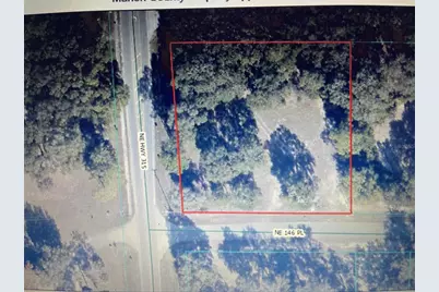 00 Highway 315, Fort Mc Coy, FL 32134 - Photo 1