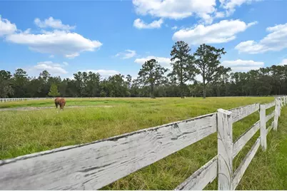 19566 NW 123rd Court, Micanopy, FL 32667 - Photo 2