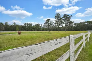 19566 NW 123rd Ct, Micanopy, FL 32667 - Photo 2