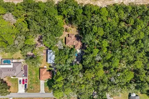 3985 S Placid Ave, Inverness, FL 34452 - Photo 36