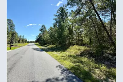 4419 W Malaluka Circle, Citrus Springs, FL 34433 - Photo 4