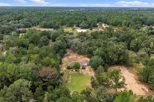 7910 SW 202nd Ct, Dunnellon, FL 34431 - Photo 38
