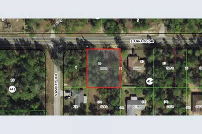 5066 E Anna Jo Drive, Inverness, FL 34452 - Photo 4