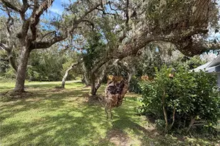 1077 SE 170th Ct, Silver Springs, FL 34488 - Photo 2