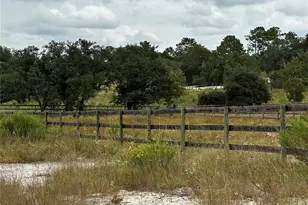 13451 SE 98th St, Dunnellon, FL 34431 - Photo 48