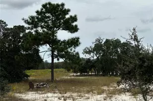 13451 SE 98th St, Dunnellon, FL 34431 - Photo 58