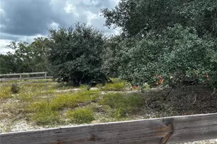 13451 SE 98th St, Dunnellon, FL 34431 - Photo 60