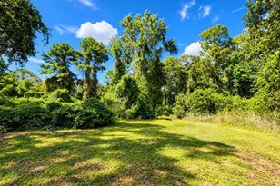 126 Bayberry Rd, Georgetown, FL 32139 - Photo 36