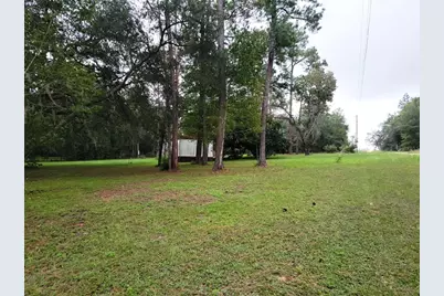 12231 NE 64 Place, Williston, FL 32696 - Photo 4