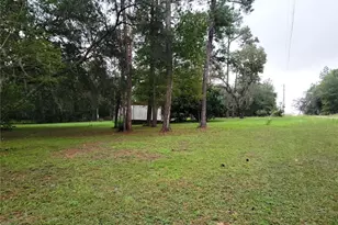 12231 NE 64 Pl, Williston, FL 32696 - Photo 4