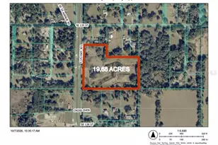 13585 S US Hwy 301, Summerfield, FL 34491 - Photo 1