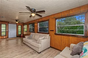 24970 NE 130th Ln, Salt Springs, FL 32134 - Photo 6