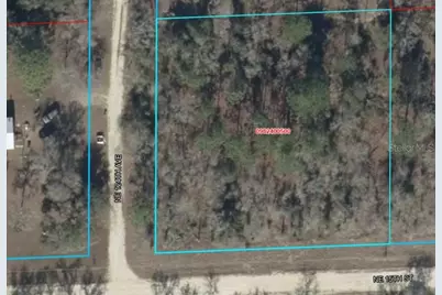 Lot 6 NE 124 Street, Williston, FL 32696 - Photo 2