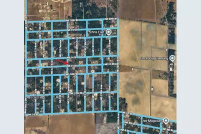 Lot 6 NE 124 Street, Williston, FL 32696 - Photo 4
