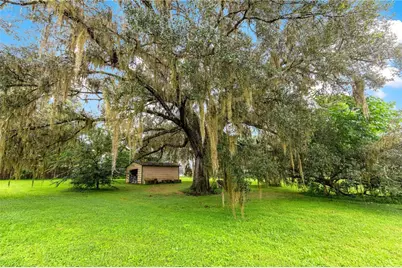 5135 SE 125th Street, Belleview, FL 34420 - Photo 6