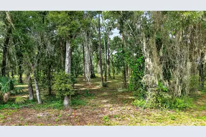 Tbd SW 38th Avenue, Ocala, FL 34476 - Photo 22
