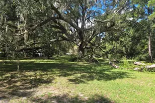 8249 SW 19th Ln, Ocala, FL 34481 - Photo 10