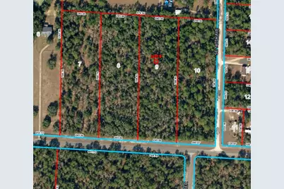 Se 30th Street, Morriston, FL 32668 - Photo 2
