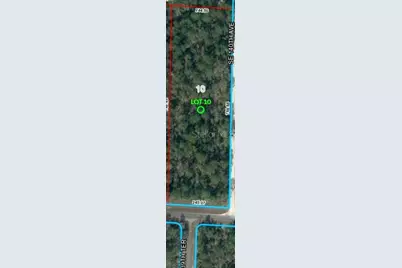 Se 30th Street, Morriston, FL 32668 - Photo 4