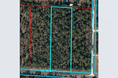Se 30th Street, Morriston, FL 32668 - Photo 1