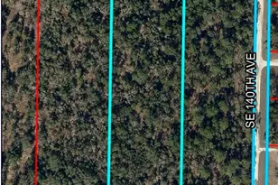 SE 30th St, Morriston, FL 32668 - Photo 1