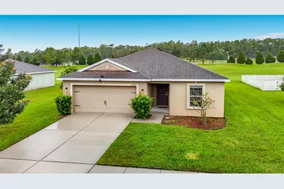 30541 Satinleaf Run, Brooksville, FL 34602 - Photo 1