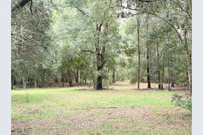3451 NE 167th Court, Williston, FL 32696 - Photo 32
