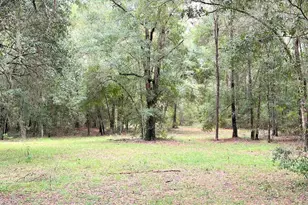 3451 NE 167 Ct, Williston, FL 32696 - Photo 32