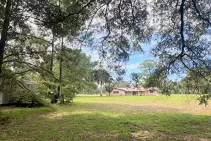 3451 NE 167 Ct, Williston, FL 32696 - Photo 8
