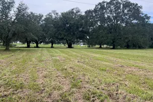 3451 NE 167 Ct, Williston, FL 32696 - Photo 46