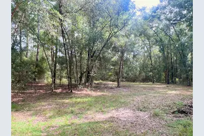 3451 NE 167th Court, Williston, FL 32696 - Photo 34