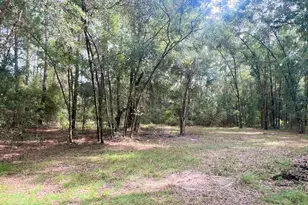 3451 NE 167 Ct, Williston, FL 32696 - Photo 34