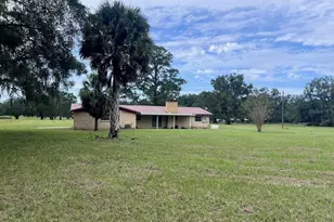 3451 NE 167 Ct, Williston, FL 32696 - Photo 6