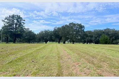 3451 NE 167th Court, Williston, FL 32696 - Photo 44