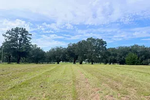 3451 NE 167 Ct, Williston, FL 32696 - Photo 44