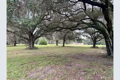 3451 NE 167th Court, Williston, FL 32696 - Photo 10