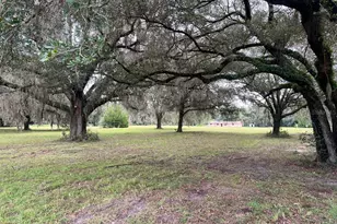 3451 NE 167 Ct, Williston, FL 32696 - Photo 10