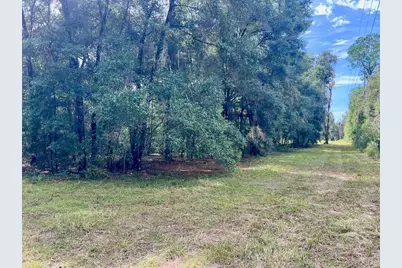 3451 NE 167th Court, Williston, FL 32696 - Photo 38