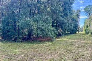 3451 NE 167 Ct, Williston, FL 32696 - Photo 38