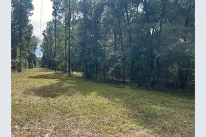3451 NE 167th Court, Williston, FL 32696 - Photo 40